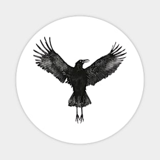 Crow Magnet